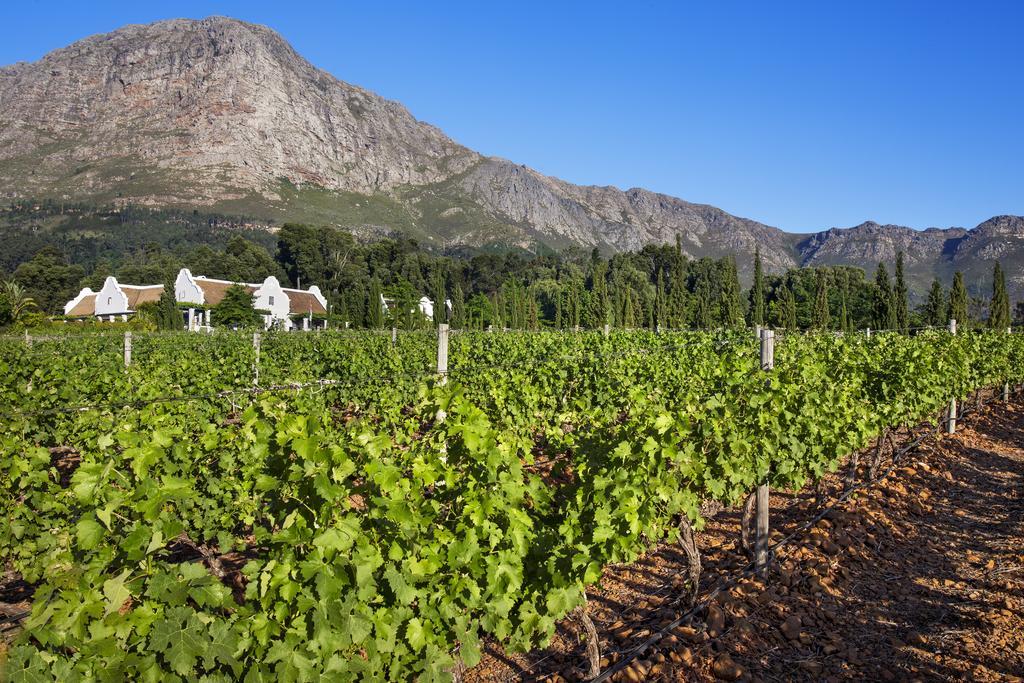 La Providence Hotel Franschhoek Luaran gambar